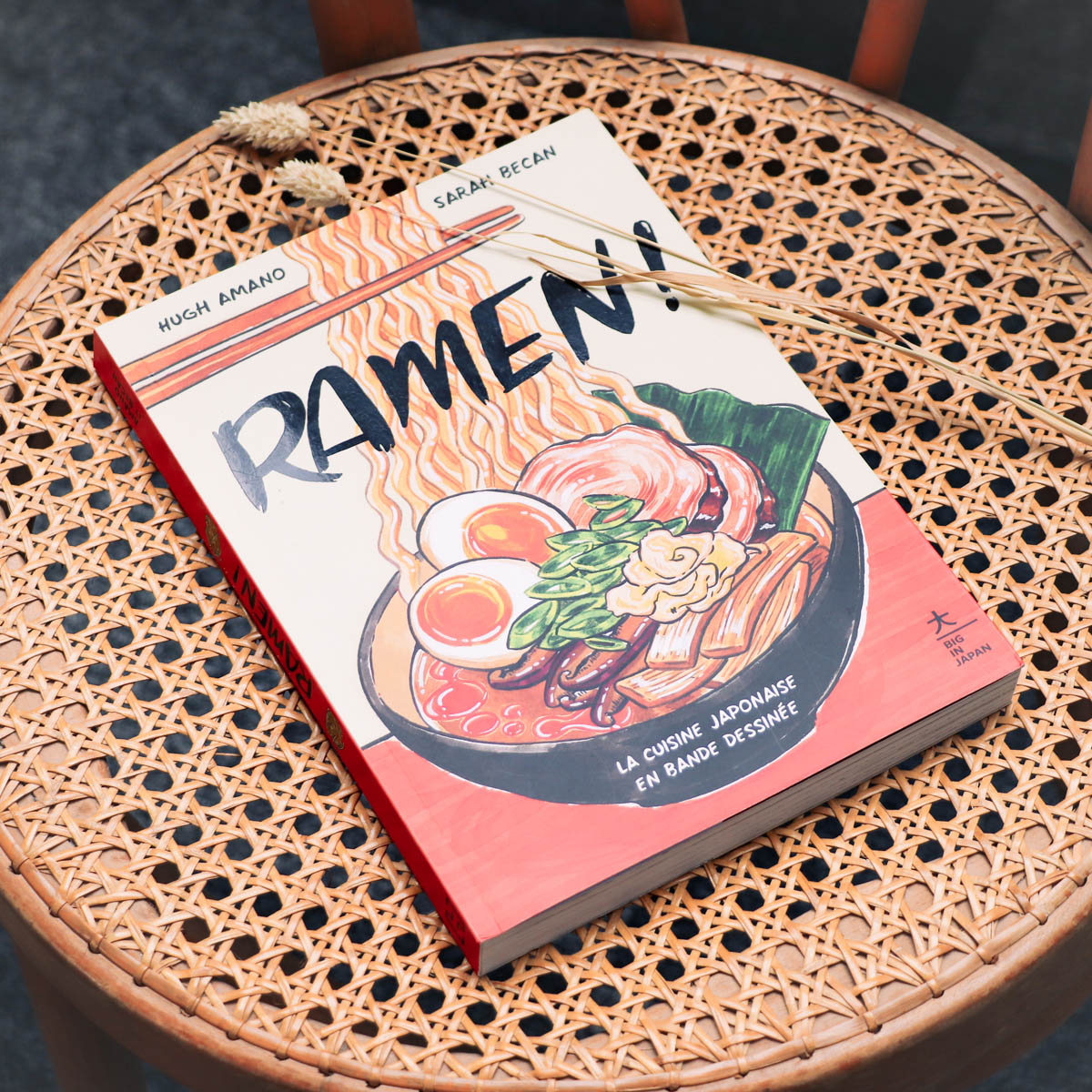 Livre de recettes Ramen !