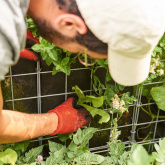 L’AGRICULTURE URBAINE