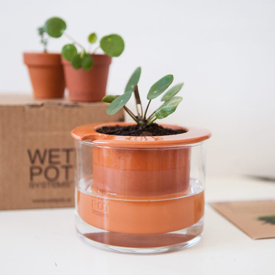 Pot intelligent en céramique - Wet Pot Plantes - Les Raffineurs